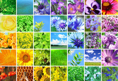 Regenbogen-Collage